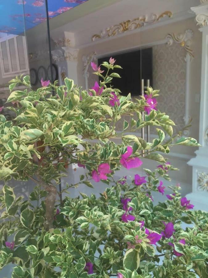Hotel My Anh Sa Dec エクステリア 写真